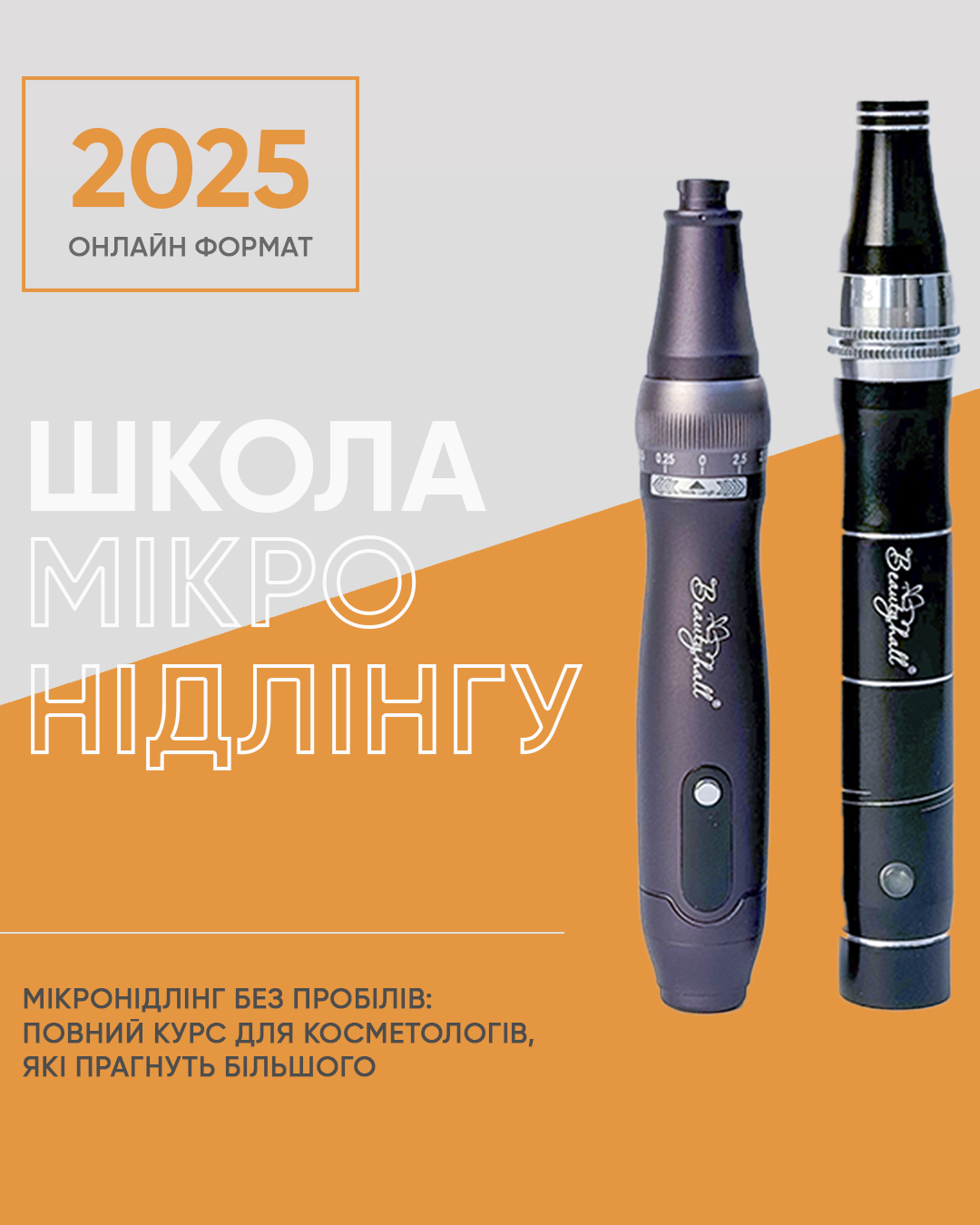 школа микронидлинга